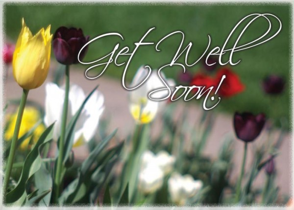 get_well_tulips_5x7.jpg