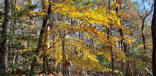 20181111_101503.jpg