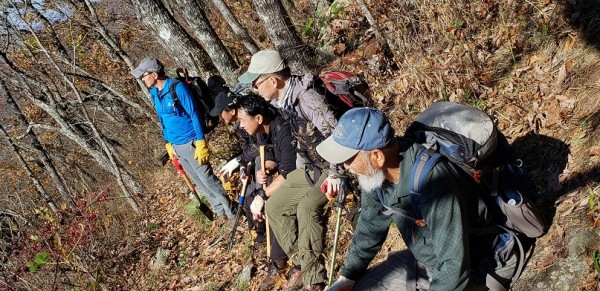 20181111_111959.jpg