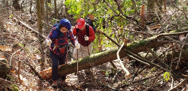 20201101_105318.jpg