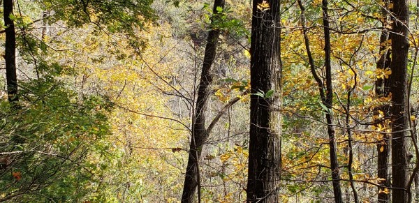 20201101_110315.jpg