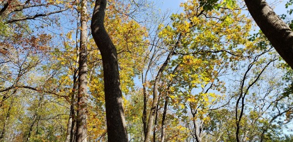 20201101_110401.jpg