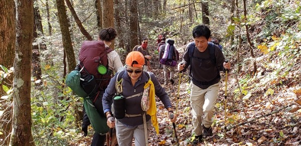 20201101_110436.jpg